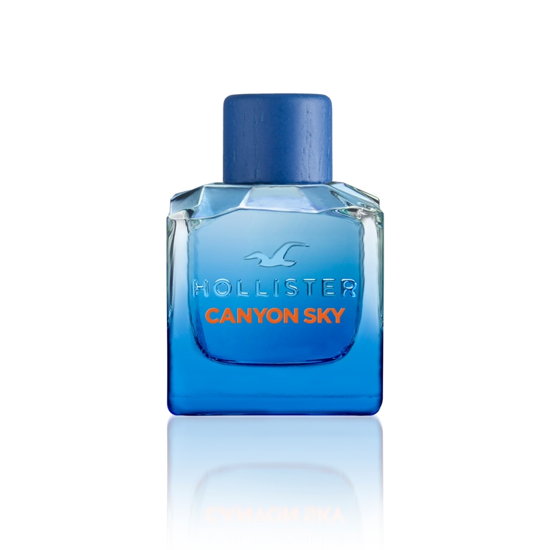 Hollister Canyon Sky For Him Edt 100 ml hos parfumerihamoghende.dk 