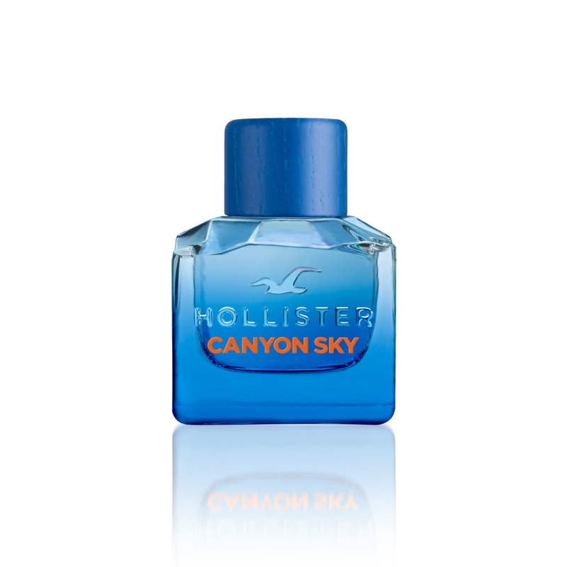 Hollister Canyon Sky For Him Edt 50 ml hos parfumerihamoghende.dk 